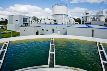 Clean Water Plant &copy; iStockphoto/TerryJ